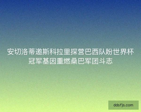 安切洛蒂邀斯科拉里探营巴西队盼世界杯冠军基因重燃桑巴军团斗志
