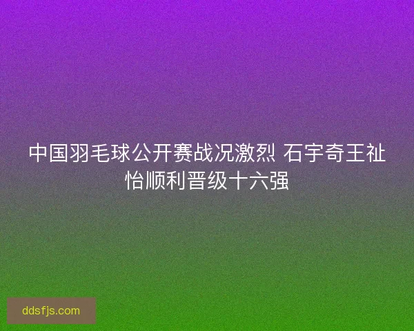中国羽毛球公开赛战况激烈 石宇奇王祉怡顺利晋级十六强